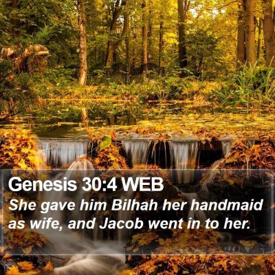 Genesis 30:4 WEB Bible Verse Image