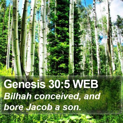 Genesis 30:5 WEB Bible Verse Image