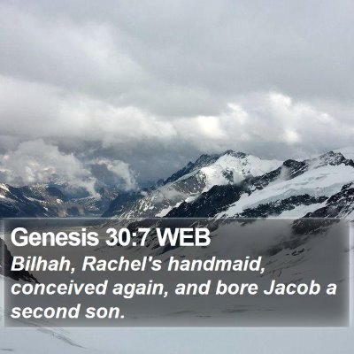 Genesis 30:7 WEB Bible Verse Image