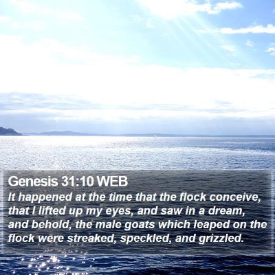 Genesis 31:10 WEB Bible Verse Image