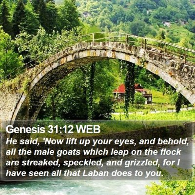 Genesis 31:12 WEB Bible Verse Image