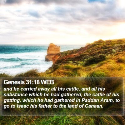 Genesis 31:18 WEB Bible Verse Image