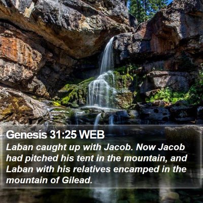 Genesis 31:25 WEB Bible Verse Image