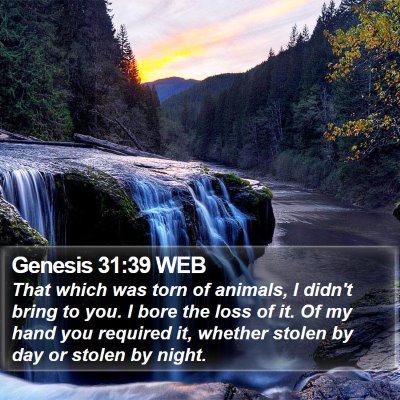 Genesis 31:39 WEB Bible Verse Image