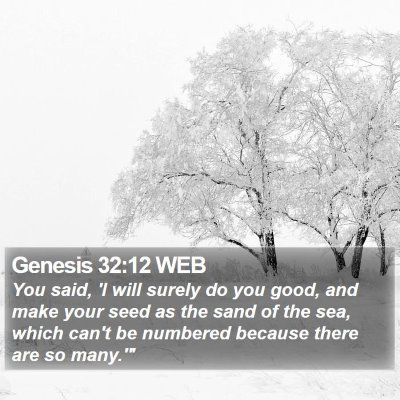 Genesis 32:12 WEB Bible Verse Image