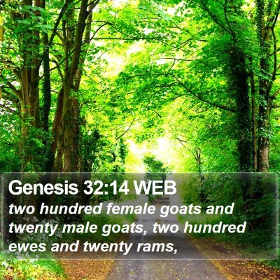 Genesis 32:14 WEB Bible Verse Image