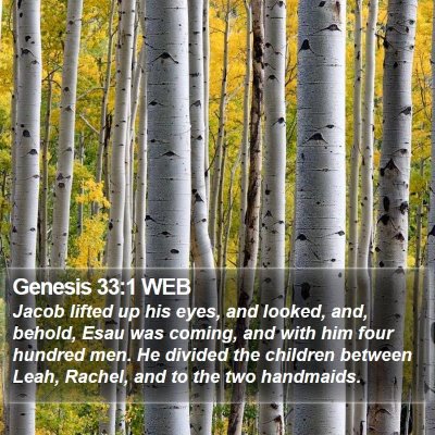 Genesis 33:1 WEB Bible Verse Image