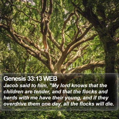 Genesis 33:13 WEB Bible Verse Image