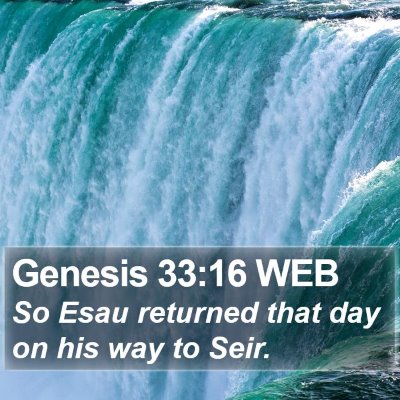 Genesis 33:16 WEB Bible Verse Image