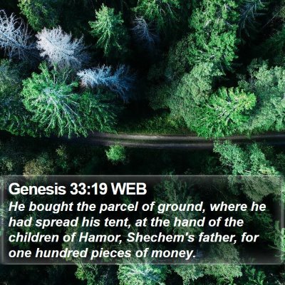 Genesis 33:19 WEB Bible Verse Image