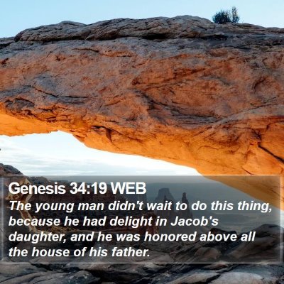 Genesis 34:19 WEB Bible Verse Image