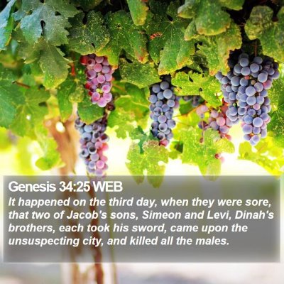 Genesis 34:25 WEB Bible Verse Image