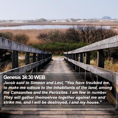 Genesis 34:30 WEB Bible Verse Image