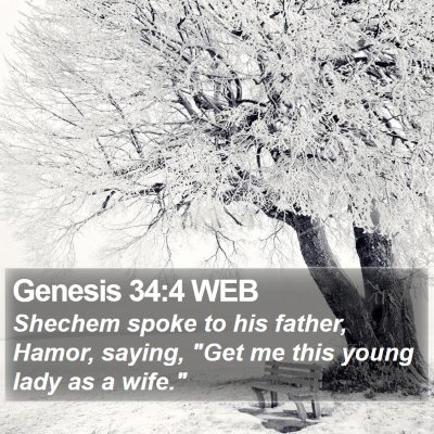 Genesis 34:4 WEB Bible Verse Image
