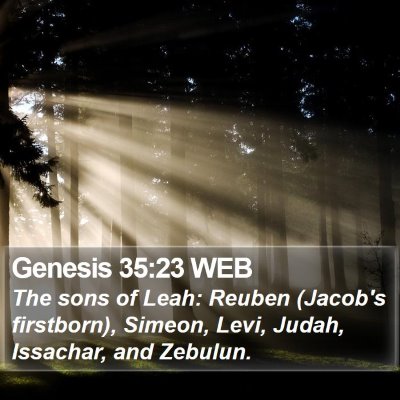 Genesis 35:23 WEB Bible Verse Image