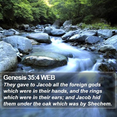 Genesis 35:4 WEB Bible Verse Image