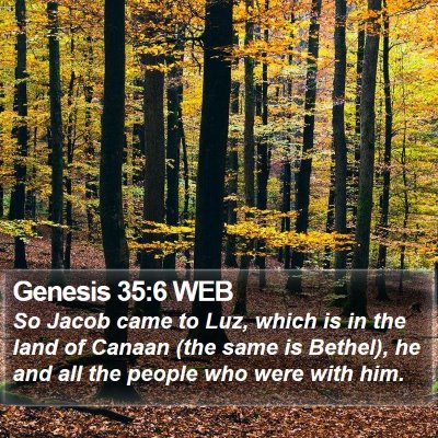 Genesis 35:6 WEB Bible Verse Image