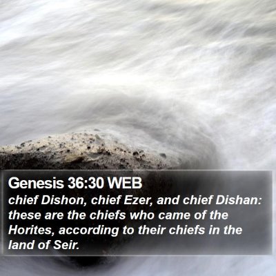 Genesis 36:30 WEB Bible Verse Image