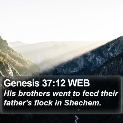 Genesis 37:12 WEB Bible Verse Image