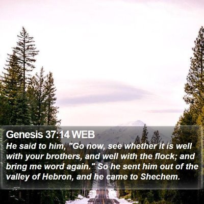 Genesis 37:14 WEB Bible Verse Image