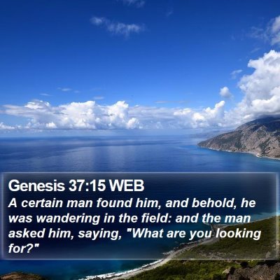 Genesis 37:15 WEB Bible Verse Image