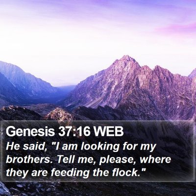 Genesis 37:16 WEB Bible Verse Image