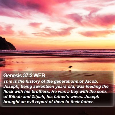 Genesis 37:2 WEB Bible Verse Image