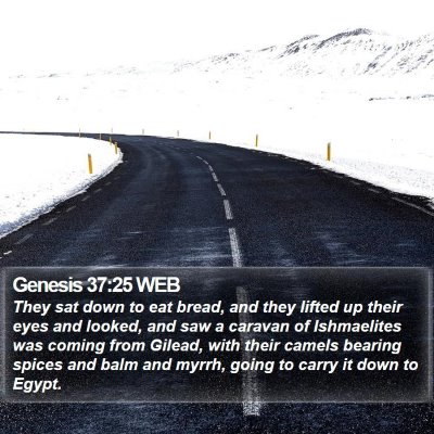 Genesis 37:25 WEB Bible Verse Image