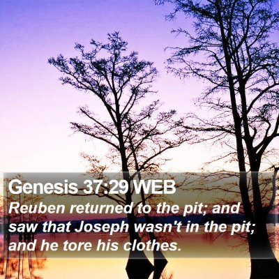 Genesis 37:29 WEB Bible Verse Image