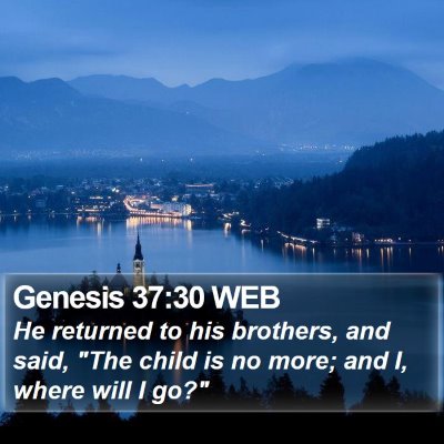 Genesis 37:30 WEB Bible Verse Image