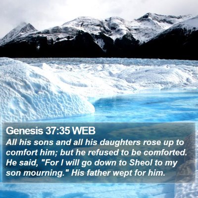 Genesis 37:35 WEB Bible Verse Image