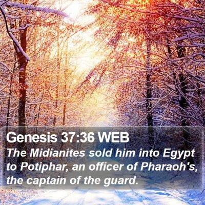 Genesis 37:36 WEB Bible Verse Image
