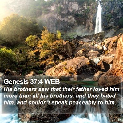 Genesis 37:4 WEB Bible Verse Image