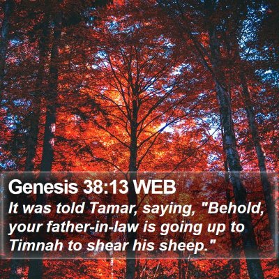 Genesis 38:13 WEB Bible Verse Image