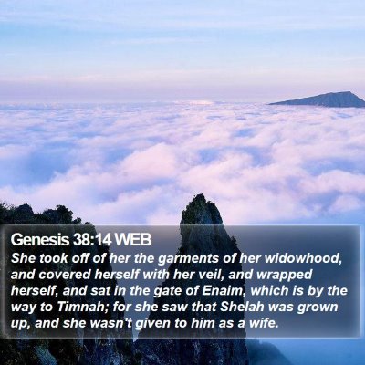 Genesis 38:14 WEB Bible Verse Image