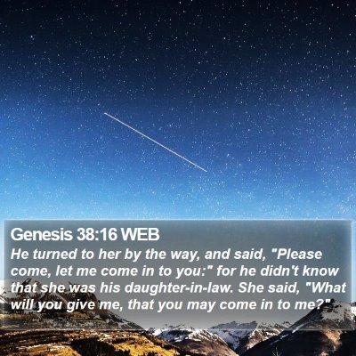 Genesis 38:16 WEB Bible Verse Image