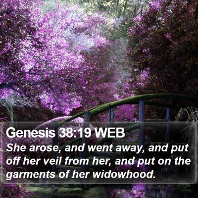 Genesis 38:19 WEB Bible Verse Image