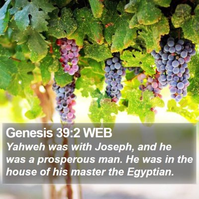 Genesis 39:2 WEB Bible Verse Image