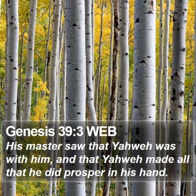 Genesis 39:3 WEB Bible Verse Image