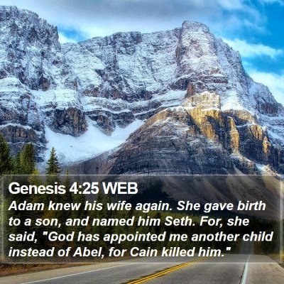 Genesis 4:25 WEB Bible Verse Image