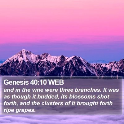 Genesis 40:10 WEB Bible Verse Image