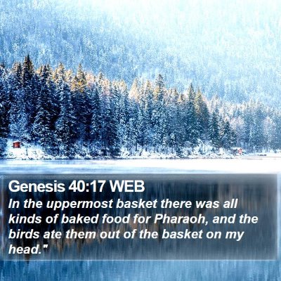 Genesis 40:17 WEB Bible Verse Image