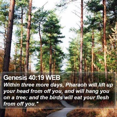 Genesis 40:19 WEB Bible Verse Image