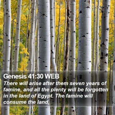 Genesis 41:30 WEB Bible Verse Image