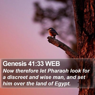Genesis 41:33 WEB Bible Verse Image