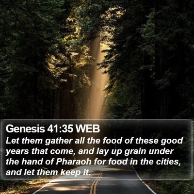 Genesis 41:35 WEB Bible Verse Image