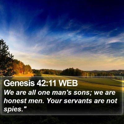 Genesis 42:11 WEB Bible Verse Image