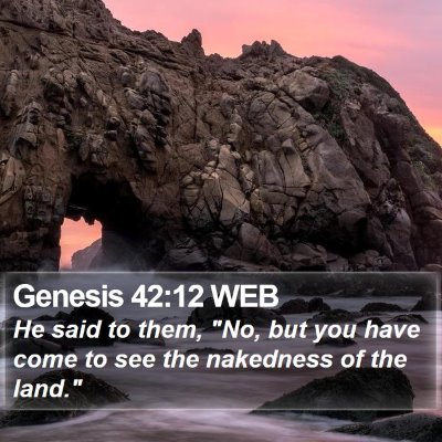 Genesis 42:12 WEB Bible Verse Image