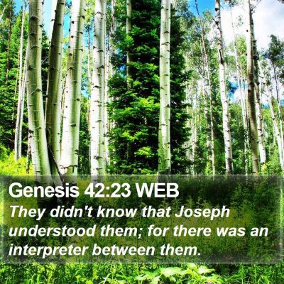 Genesis 42:23 WEB Bible Verse Image
