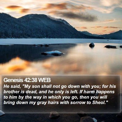 Genesis 42:38 WEB Bible Verse Image